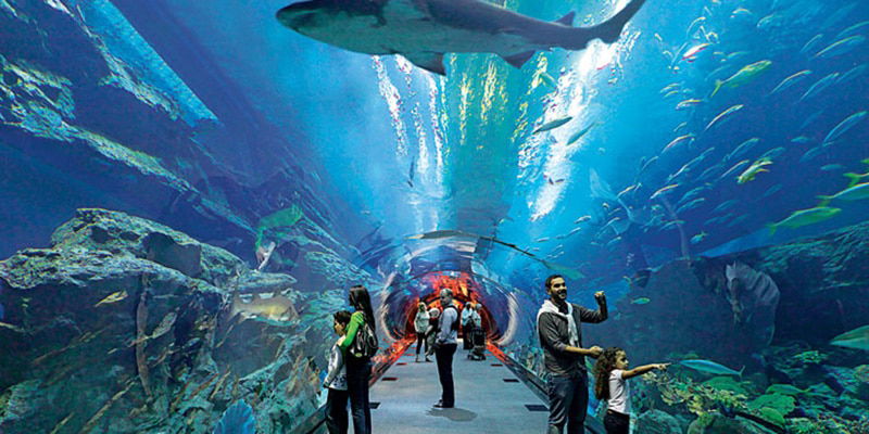 Dubai Aquarium Underwater Zoo