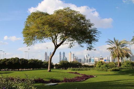 Al Quoz Pond Park  