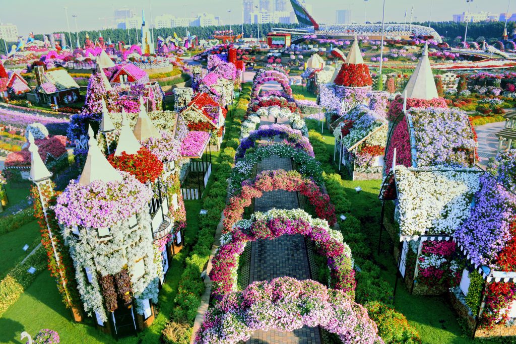 best parks in Dubai Miracle Garden