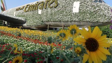 Dubai Miracle Garden