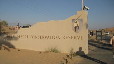 Dubai Desert Conservation Reserve