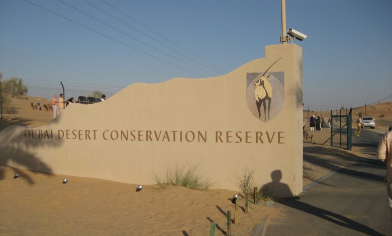 Dubai Desert Conservation Reserve