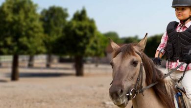 تعليم ركوب الخيل دبي