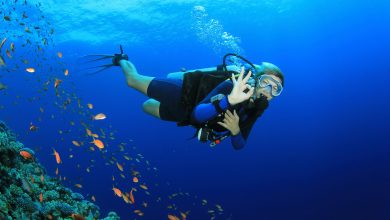 Scuba Diving In Dubai