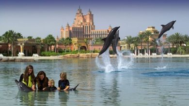 Best Dubai entertainment places