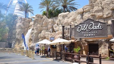 Wild Wadi ticket price