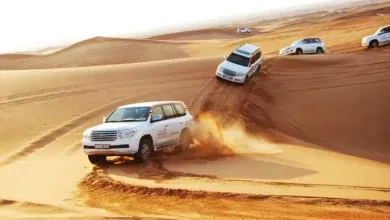 Desert Safari Dubai Price