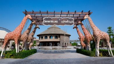 Dubai Safari Park tickets