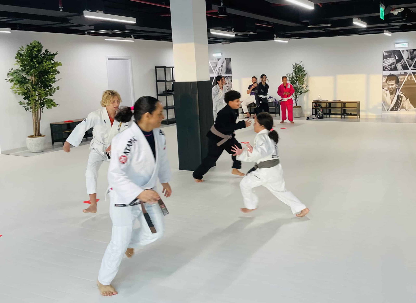 Studio 100 Jiu Jitsu Motor City