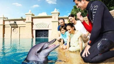 dubai kids attraction