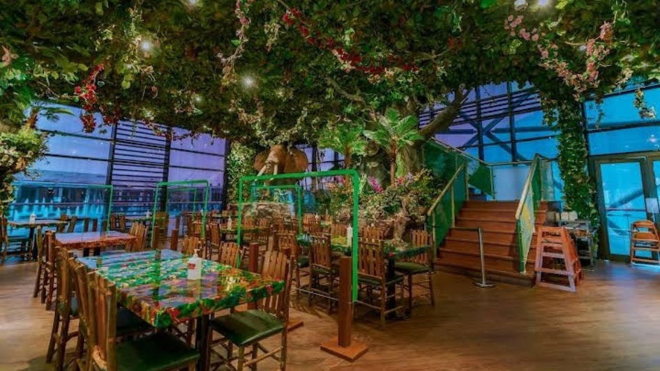 مطعم Rainforest Cafe Restaurant, Abu Dhabi