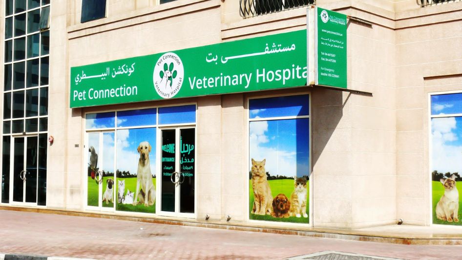 Pet Connection Veterinary Clinic