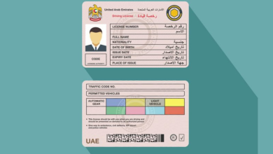 كم الرسوم؟! إجراءات تجديد رخصة القيادة في الإمارات